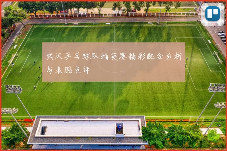 武汉乒乓球队精英赛精彩配合分析与表现点评