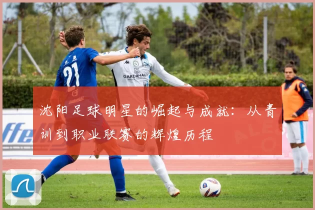 沈阳足球明星的崛起与成就：从青训到职业联赛的辉煌历程