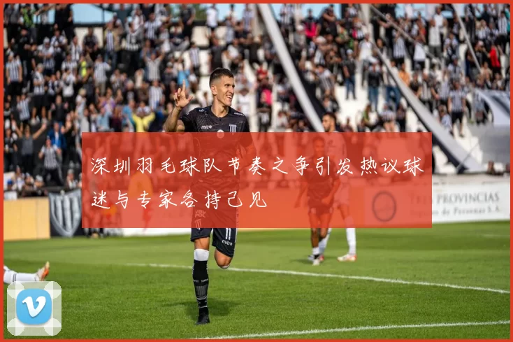 深圳羽毛球队节奏之争引发热议球迷与专家各持己见