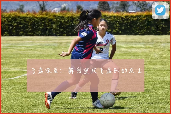 飞盘深度：解密重庆飞盘队的反击