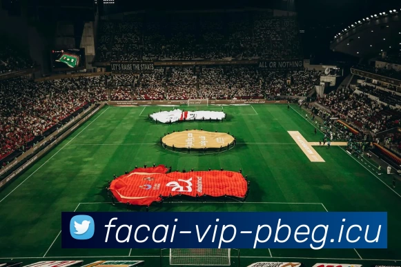 MK体育APP 封面图